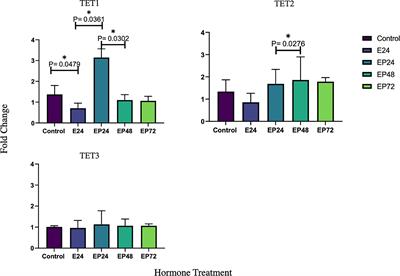 Differential Expression of Steroid Hormone Receptors and Ten Eleven Translocation Proteins in Endometrial Cancer Cells